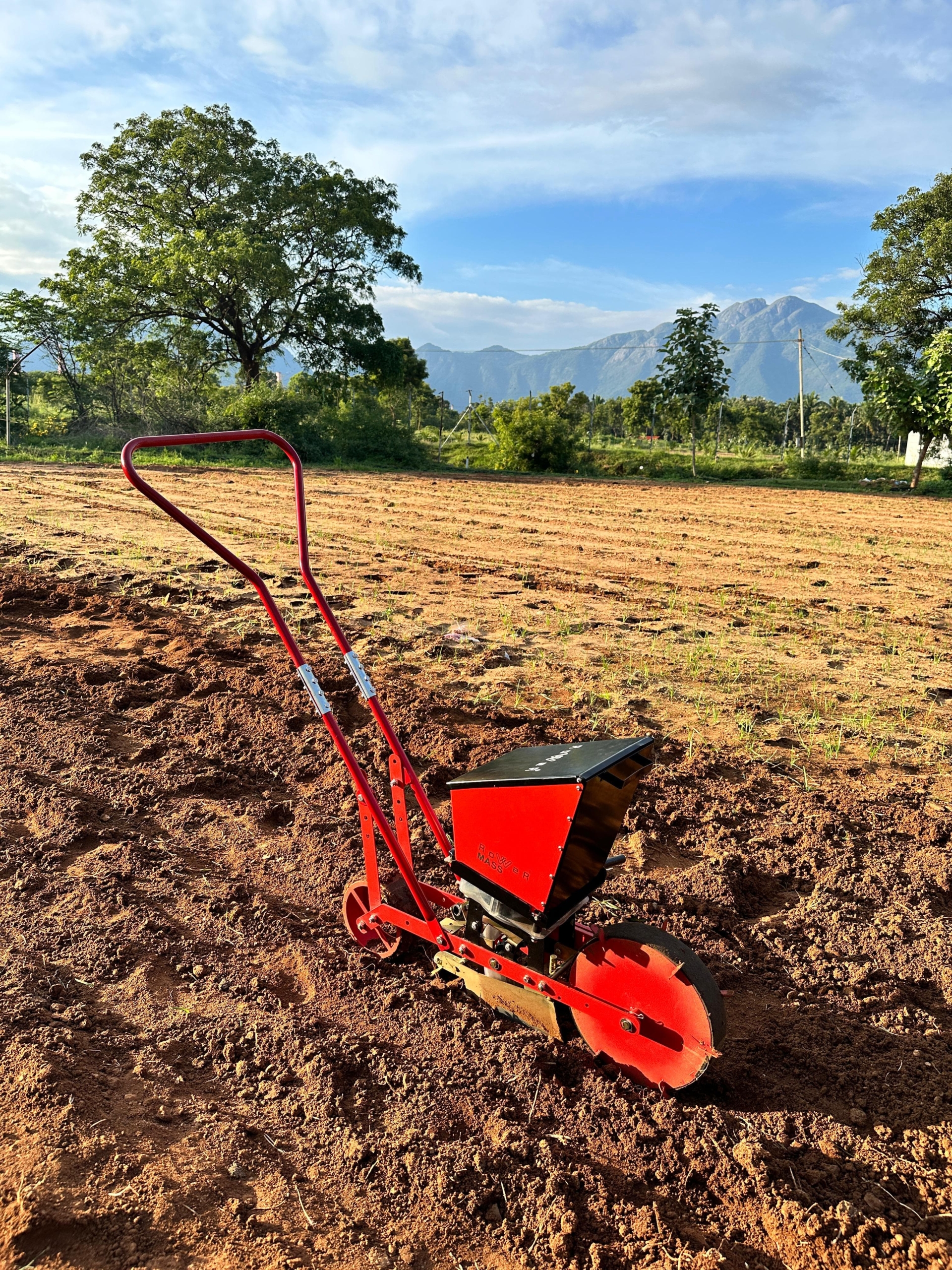 WhatsApp Image 2025-02-24 at 7.36.18 PM-2