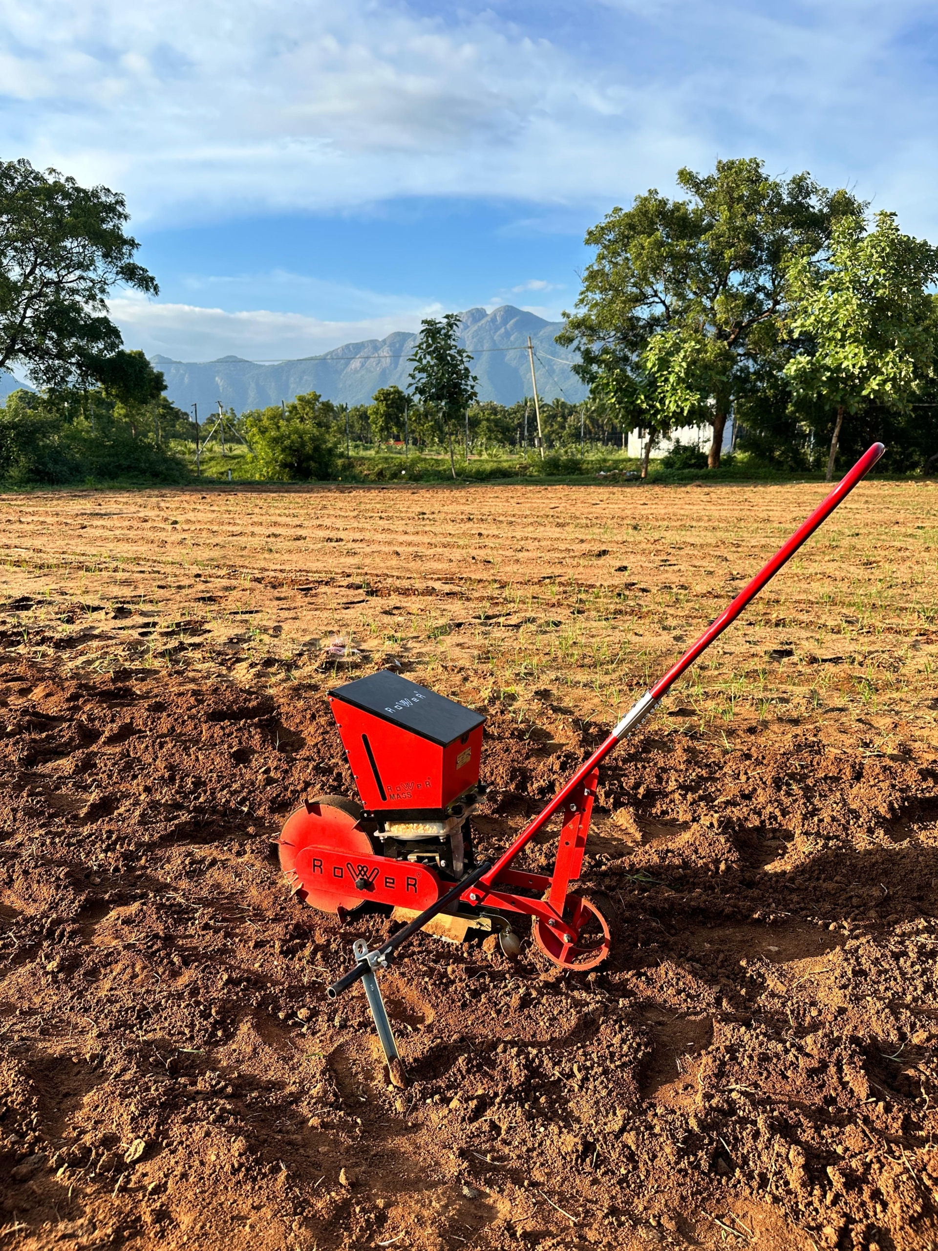 WhatsApp Image 2025-02-24 at 7.36.18 PM